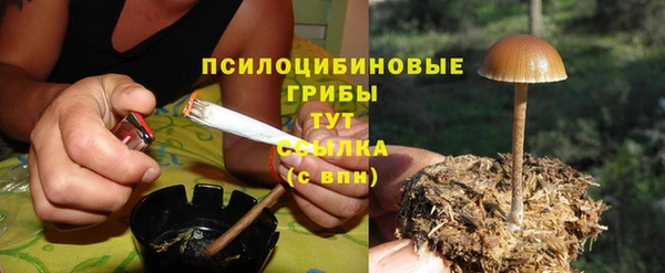 трава Михайловск